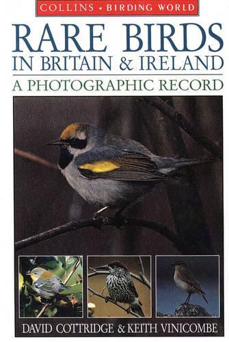 Rare Birds in Britain and Ireland