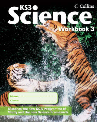 Workbook 3: v. 3