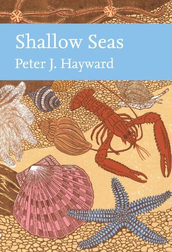 Shallow Seas