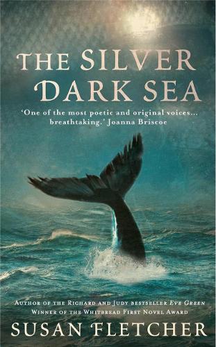 The Silver Dark Sea