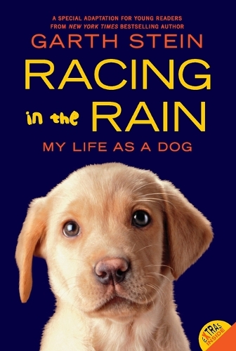 Racing in the Rain