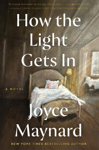 How the Light Gets In