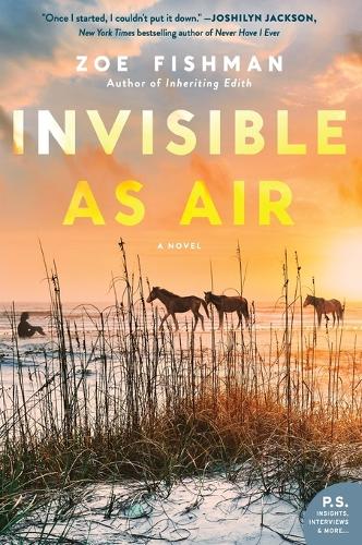 Invisible as Air