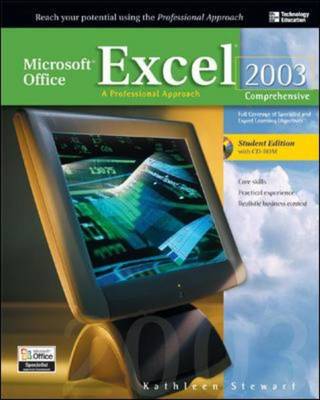 Microsoft Office Excel 2003: A Professional Approach