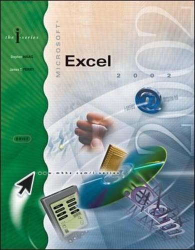 Excel 2002 Brief