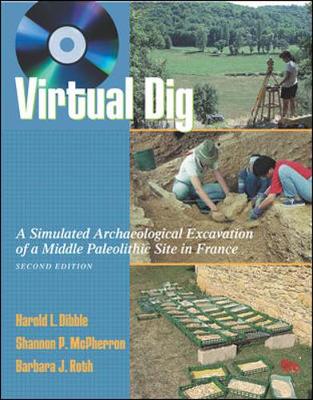Virtual Dig
