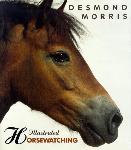 Illustrated Horsewatching