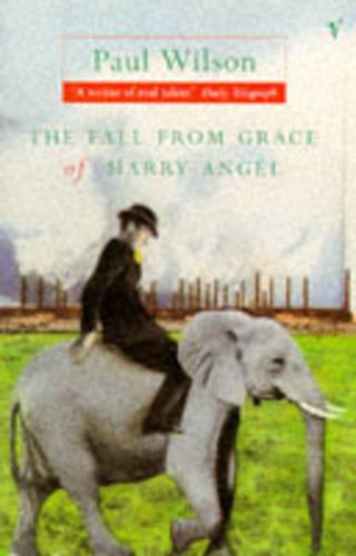 The Fall from Grace of Harry Angel