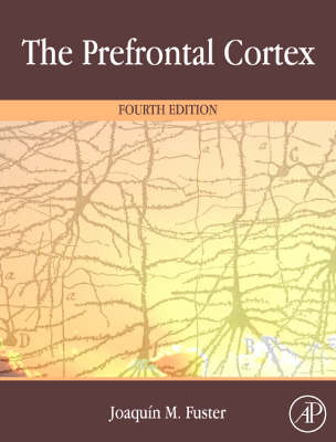 The Prefrontal Cortex