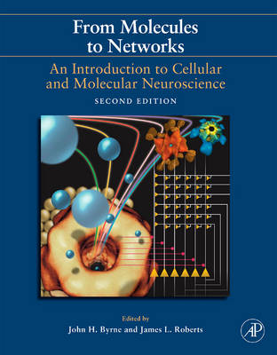 From Molecules to Networks