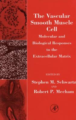 The Vascular Smooth Muscle Cell