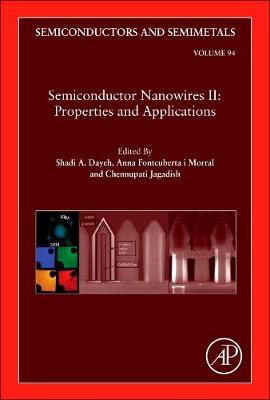 Semiconductor Nanowires II: Properties and Applications Volume 94