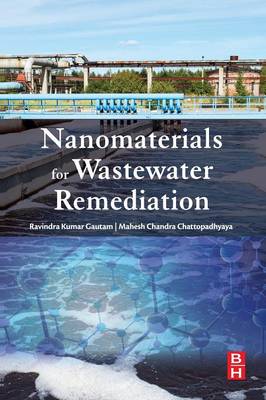 Nanomaterials for Wastewater Remediation