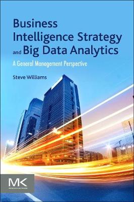 Business Intelligence Strategy and Big Data Analytics