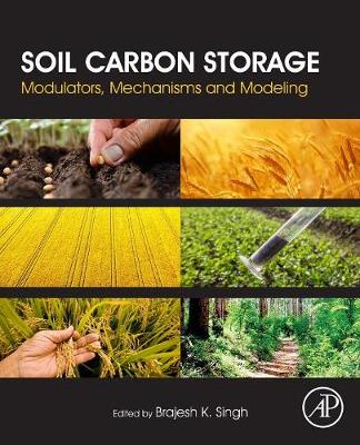 Soil Carbon Storage
