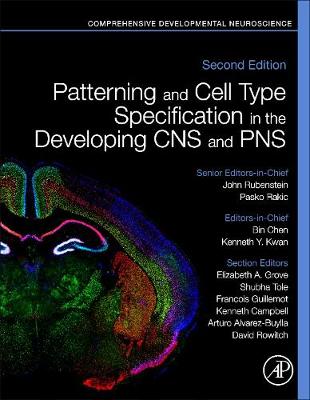 Patterning and Cell Type Specification in the Developing CNS and PNS