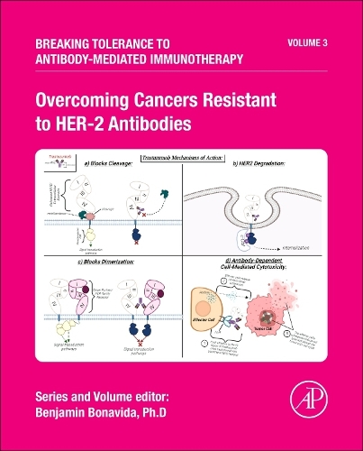 Overcoming Cancers Resistant to HER-2 Antibodies Volume 2