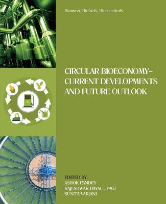 Biomass, Biofuels, Biochemicals