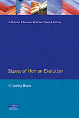 Stages of Human Evolution