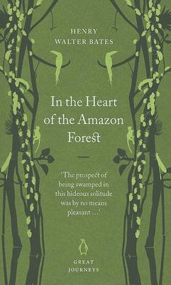 In the Heart of the Amazon Forest