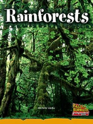 Rainforests