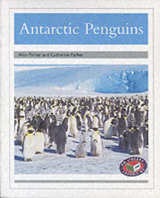 PM Silver Animal Facts Polar Animals Antarctic Penguins (x6)