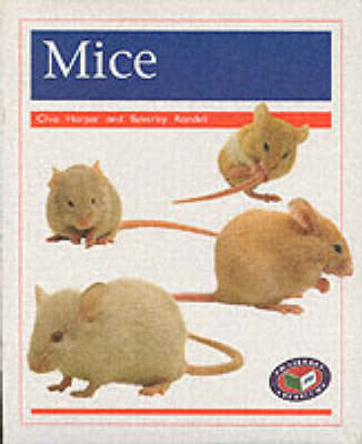 Mice (x6) PM Orange Animal Facts Pets