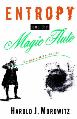 Entropy and the Magic Flute