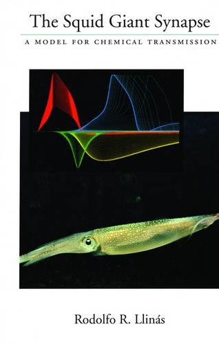 The Squid Giant Synapse