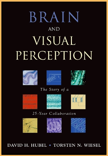 Brain and Visual Perception