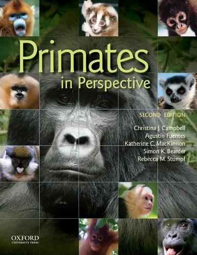 Primates In Perspective