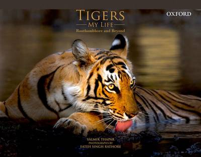 Tigers/my Life