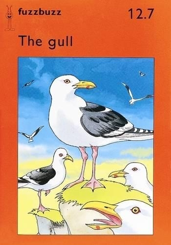 Fuzzbuzz: Storybooks Level 2B