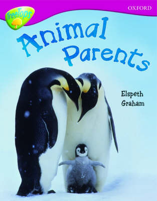 Oxford Reading Tree: Level 10A: TreeTops More Non-Fiction: Pack (6 books, 1 of each title)
