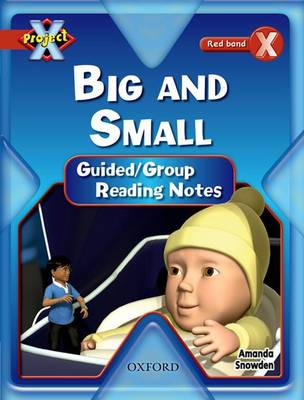 Project X: Big and Small: Teaching Notes