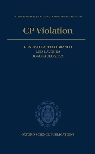 CP Violation