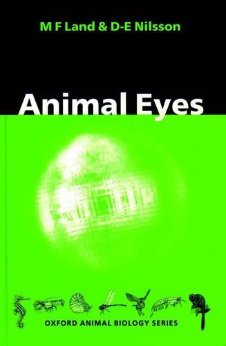 Animal Eyes