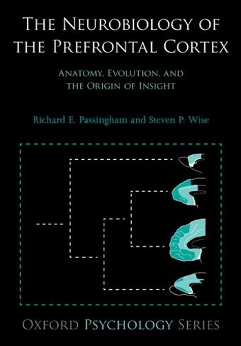 The Neurobiology of the Prefrontal Cortex
