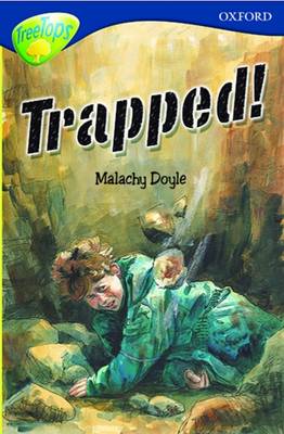 Oxford Reading Tree: Level 14: Treetops Fiction, More Stories A: Class Pack (36 Books, 6 of Each Title)