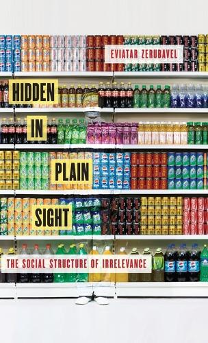 Hidden in Plain Sight