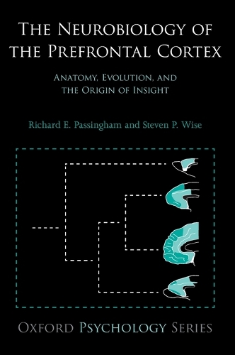The Neurobiology of the Prefrontal Cortex