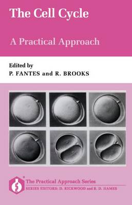 The Cell Cycle: A Practical Approach