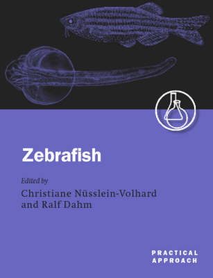Zebrafish