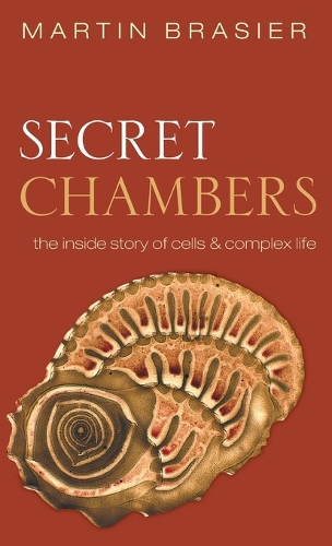 Secret Chambers