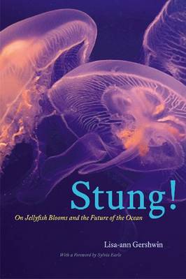 Stung!