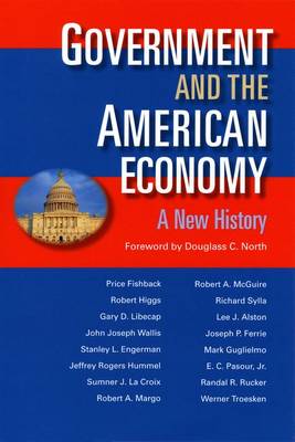 The Government and the American Economy