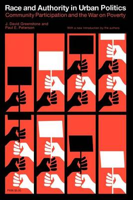 Race and Authority in Urban Politics