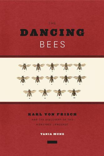 The Dancing Bees