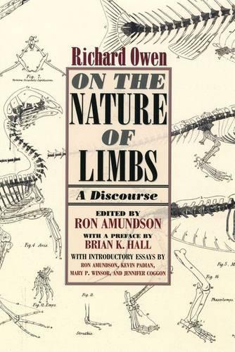 On the Nature of Limbs
