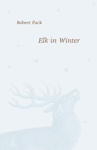 Elk in Winter